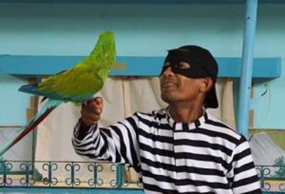 Suelta, Libera, Dejar ir.