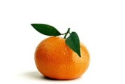 Aceite Esencial de mandarina, usos y beneficios.