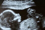 Sabes cuales son las etapas del embarazo o desarrollo de tu bebe?