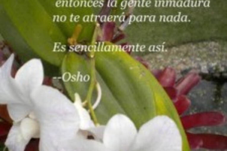 Cuando no tienes amor. Eres un mendigo.