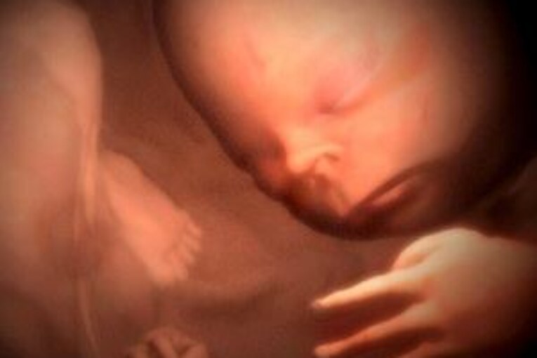Tiene tu bebe alguna enfermedad hereditaria?