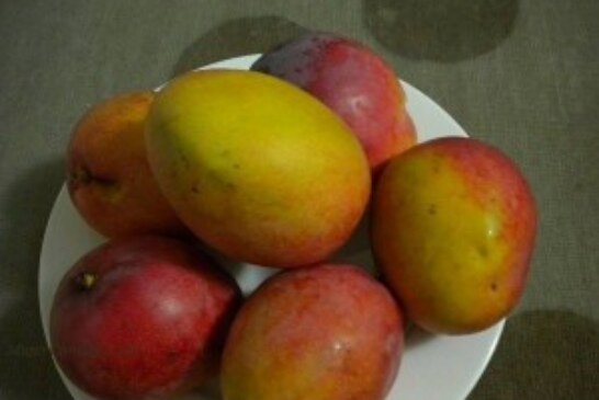 Batido de mango y toronja para perder peso