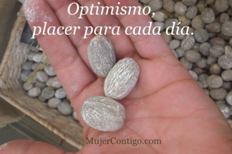 Eres optimista o no ? Descubre tu actitud ante la vida. Test