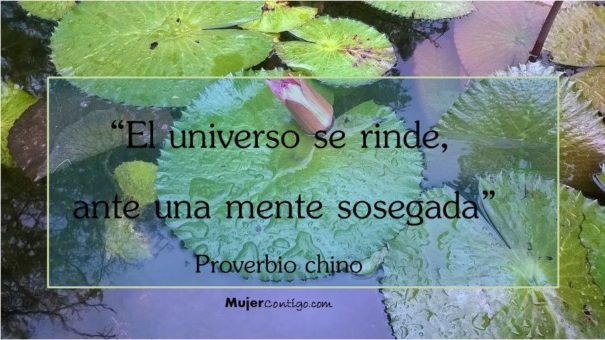 proverbio chino