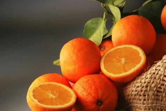 Aceite Esencial de Cedro, naranja, y toronja usos y beneficios.