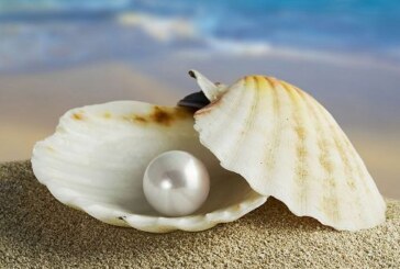 “Una perla es… una herida sanada por el amor”