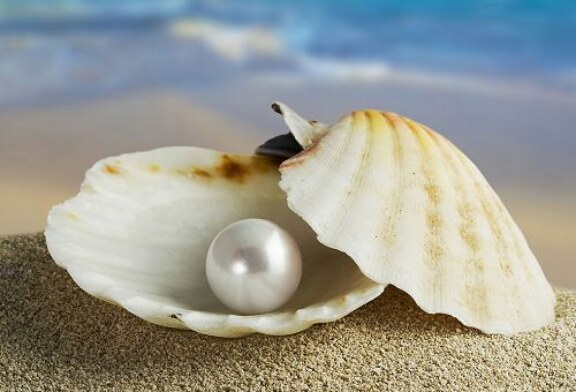 “Una perla es… una herida sanada por el amor”