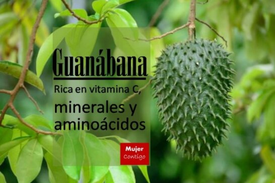 A sembrar Guanabana y salvar Vidas‏
