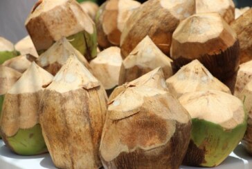 Los beneficios de tomar agua de coco