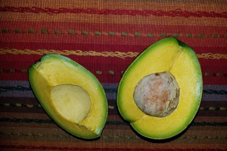 Aguacate, Rico en sabor y muy saludable
