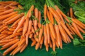 Beneficios de la zanahoria que ni siquiera te imaginas