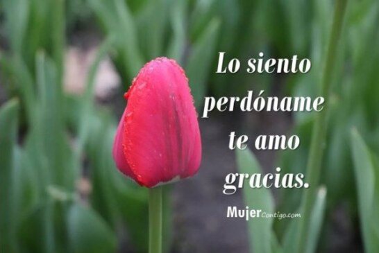 Ho’oponopono es un sistema de sanación físico, mental, emocional y espiritual.