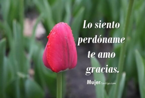 Ho’oponopono es un sistema de sanación físico, mental, emocional y espiritual.